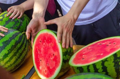 吃瓜网免费,吃瓜网带你畅游明星幕后生活