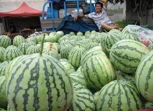 吃瓜崩溃,揭秘娱乐圈背后的真相与反思