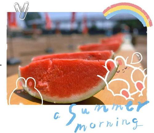 mileapo吃瓜现场,一场娱乐圈的狂欢盛宴