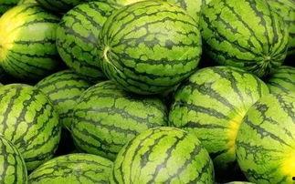 专门讲吃瓜前台,揭秘娱乐圈幕后美食江湖