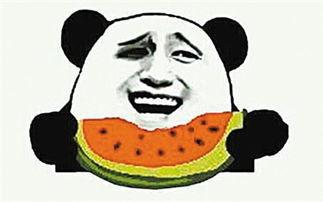 吃瓜的瓜是啥意思,网络流行语的趣味解读