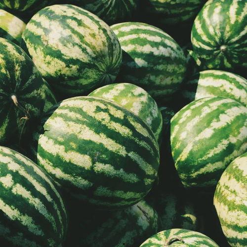 吃瓜清净俱乐部,网络社交新趋势