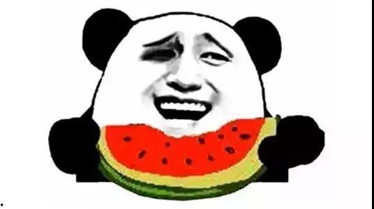 吃瓜什么都吃,全方位探索美食世界的无限可能