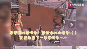 吃瓜挑战游戏视频解说,揭秘热门游戏视频背后的趣味与技巧