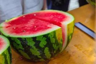 大学和朋友吃瓜,与好友共度吃瓜欢乐时光