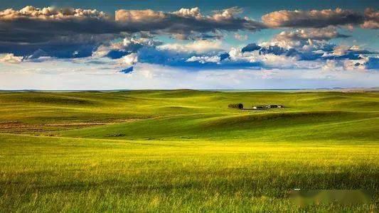 草原深处,探寻草原深处的神秘世界