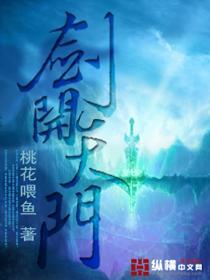 我有一剑开天门,剑道传奇的巅峰征程