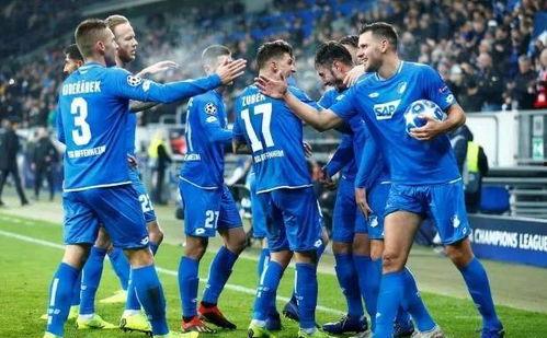 23-24赛季德甲第16轮:霍芬海姆vs达姆施塔特,德甲第16轮精彩对决结果揭晓