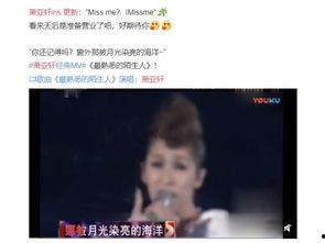 离婚后我回归歌坛天后,离婚后重振歌坛的辉煌传奇