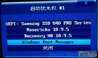 三天测试,突破与创新并行,共筑高效未来