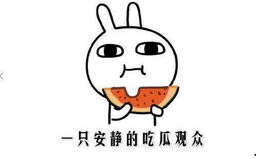 娱乐吃瓜名字怎么取的,揭秘“娱乐吃瓜”名字背后的趣味与智慧