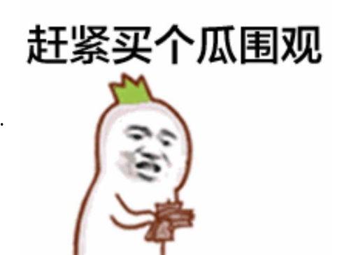 吃瓜群众娱乐评论大赏,盘点年度热门话题与笑料