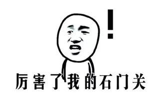 娱乐吃瓜酱敷衍,敷衍吃瓜，揭秘幕后真相