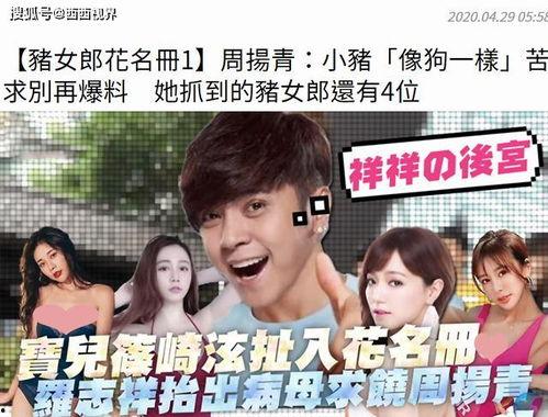 吃瓜吃到正主面前娱乐圈,吃瓜群众意外撞见明星正主，娱乐圈风云再起